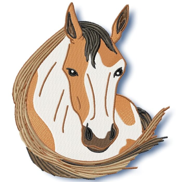 Elegant Horses