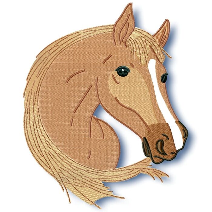 Elegant Horses