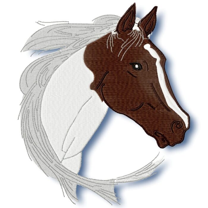 Elegant Horses