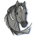 elegant horses
