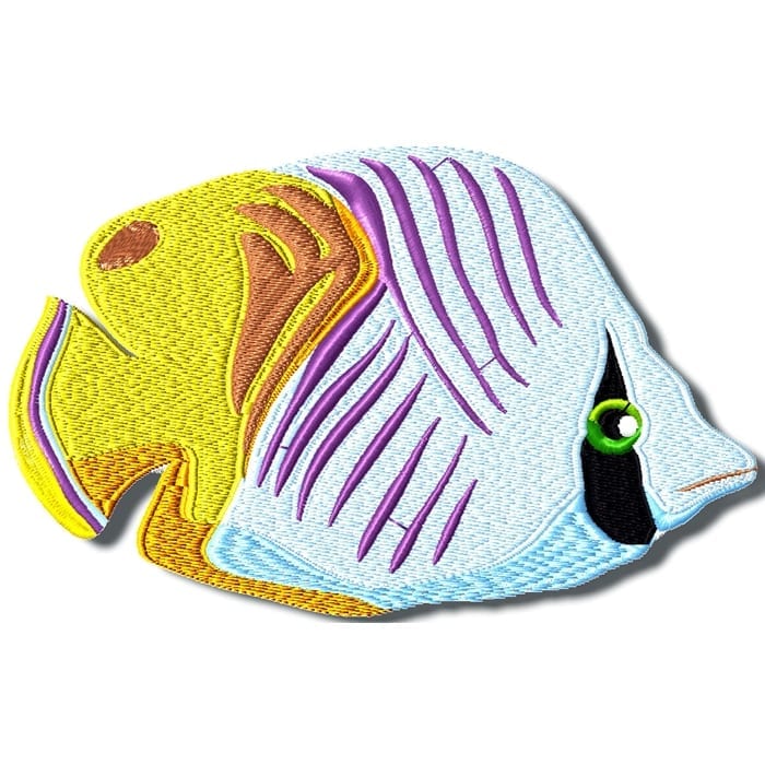 Colourful Fish