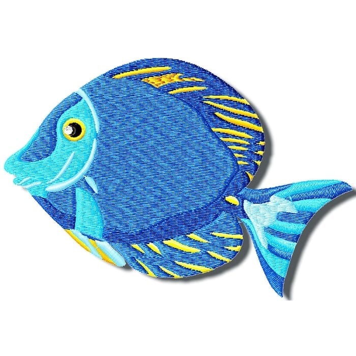 Colourful Fish