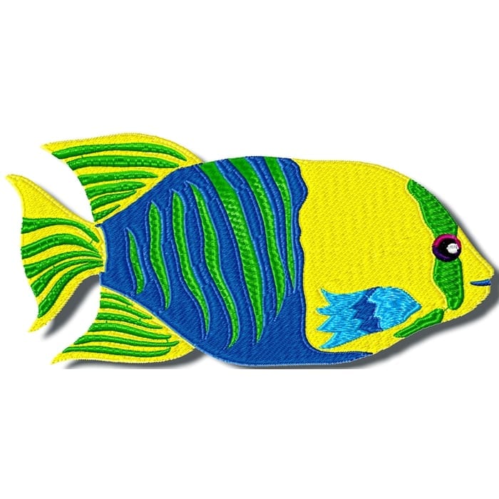 Colourful Fish