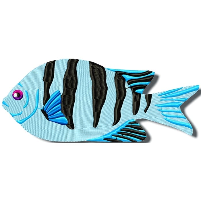 Colourful Fish