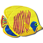 Colourful Fish