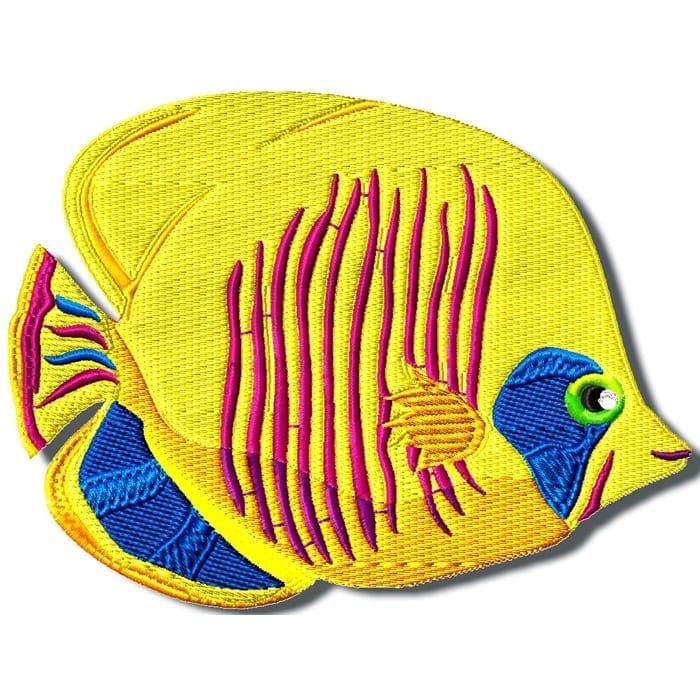 Colourful Fish