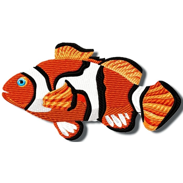Colourful Fish