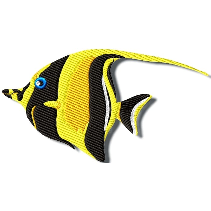 Colourful Fish