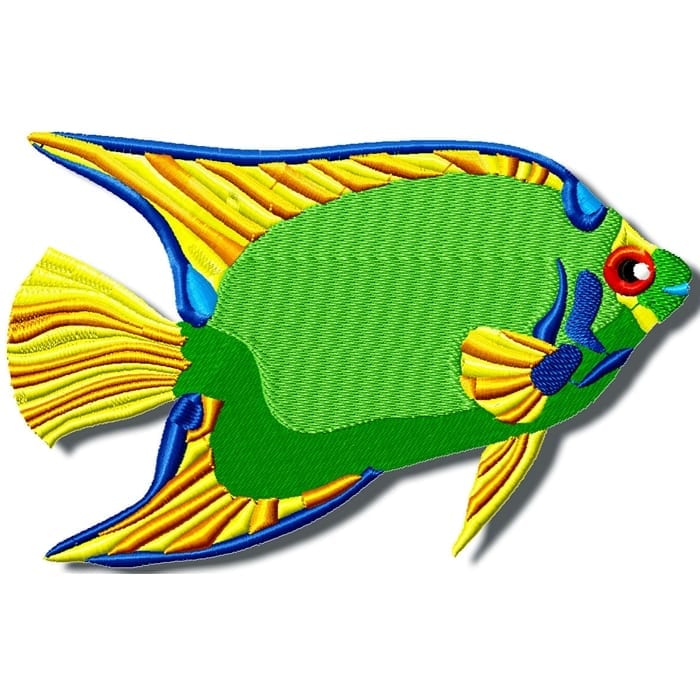 Colourful Fish
