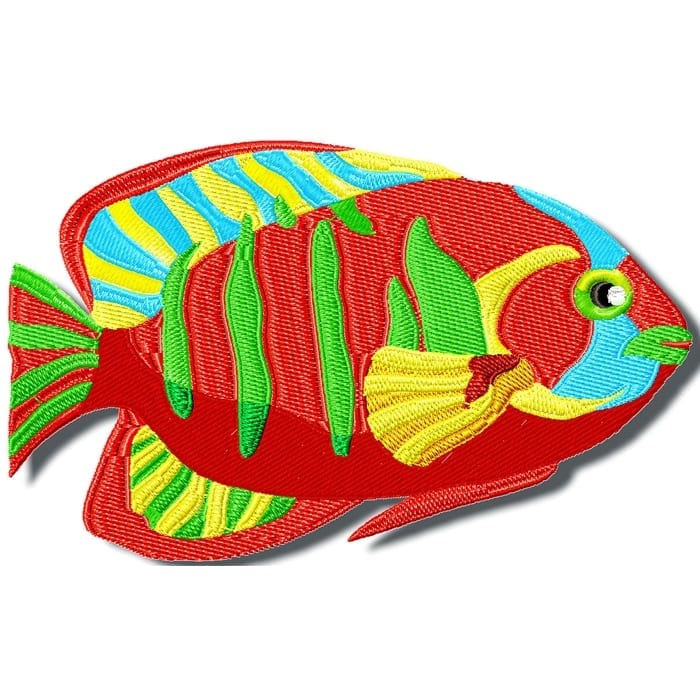 Colourful Fish