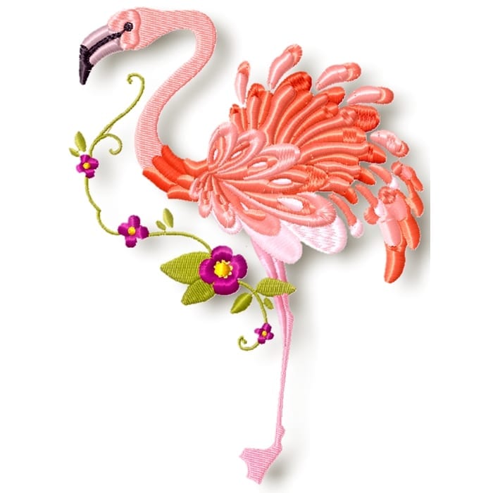 Flamingo's