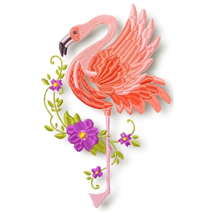 Flamingo's