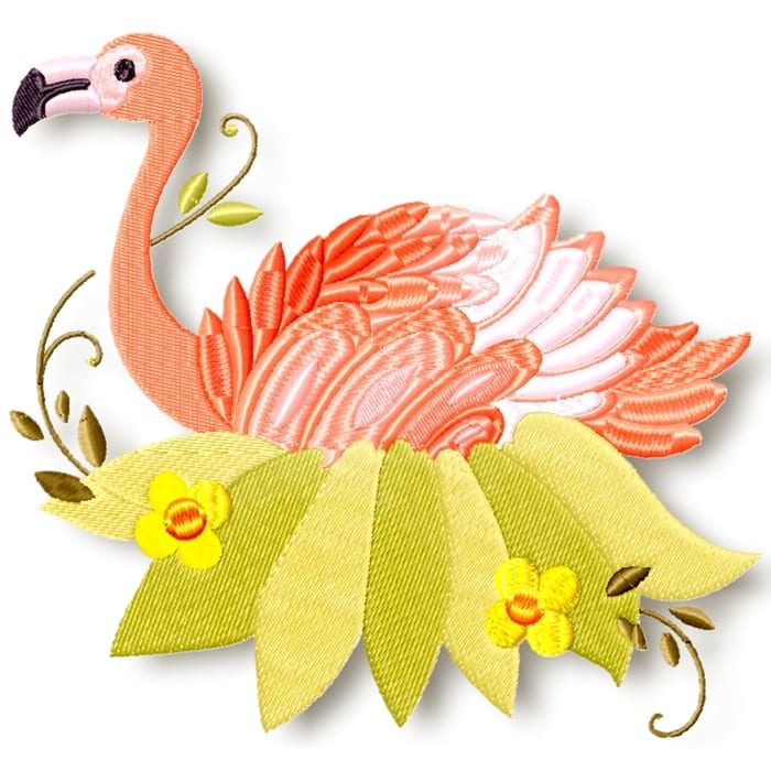 Flamingo's