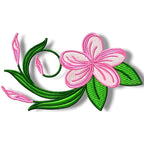 Frangipani Flowers