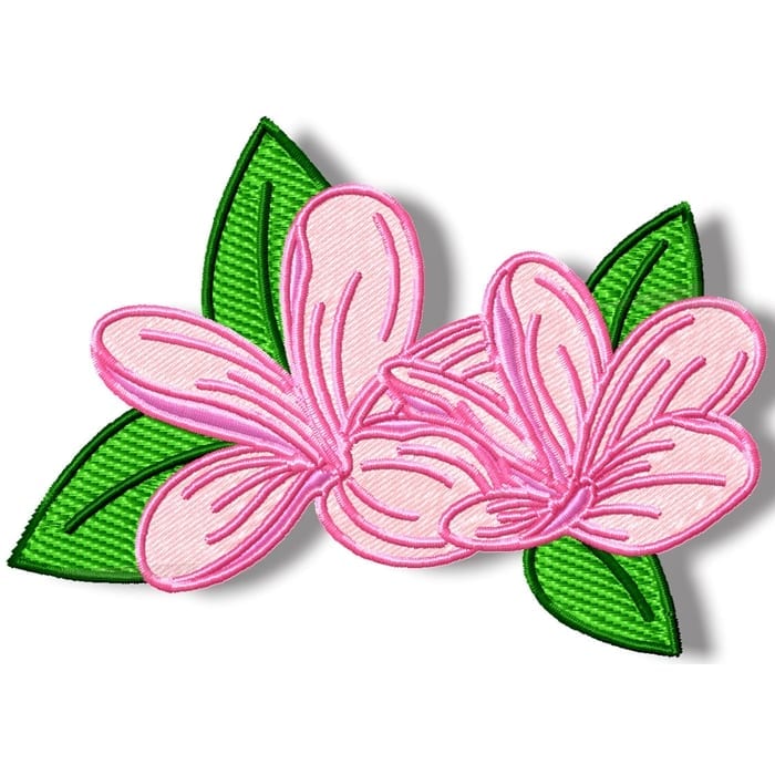 Frangipani Flowers