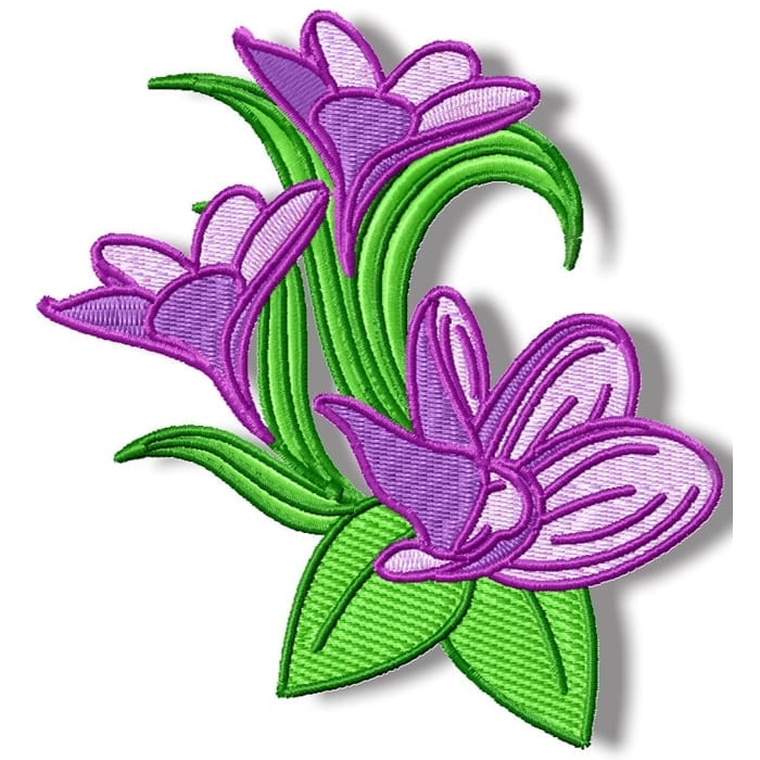 Frangipani Flowers