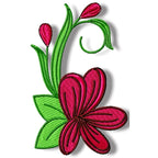 Frangipani Flowers