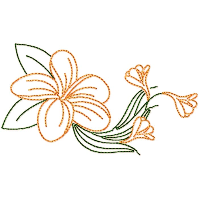 Frangipani Flowers