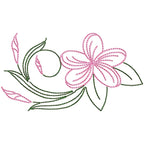Frangipani Flowers