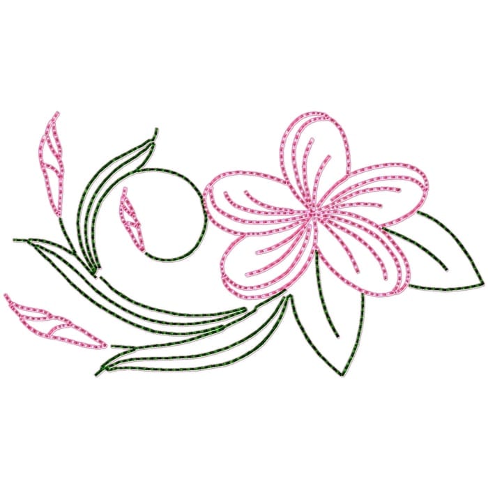Frangipani Flowers