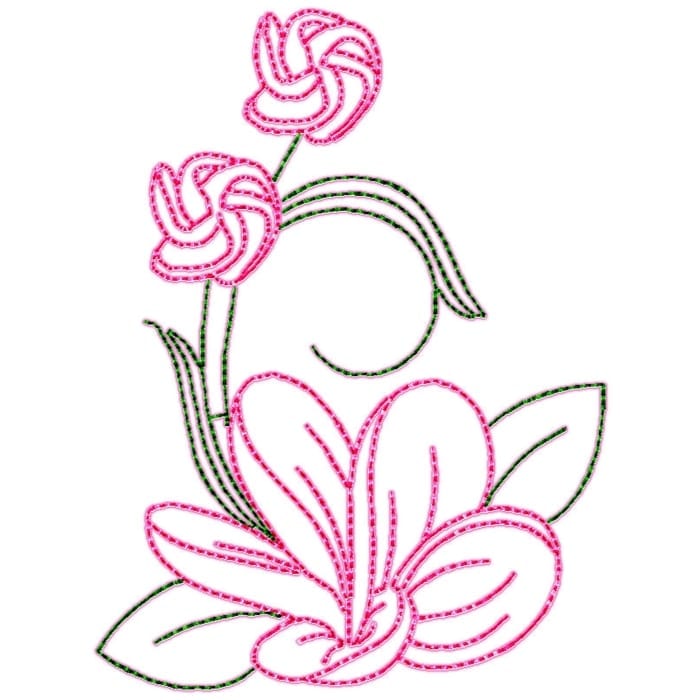 Frangipani Flowers
