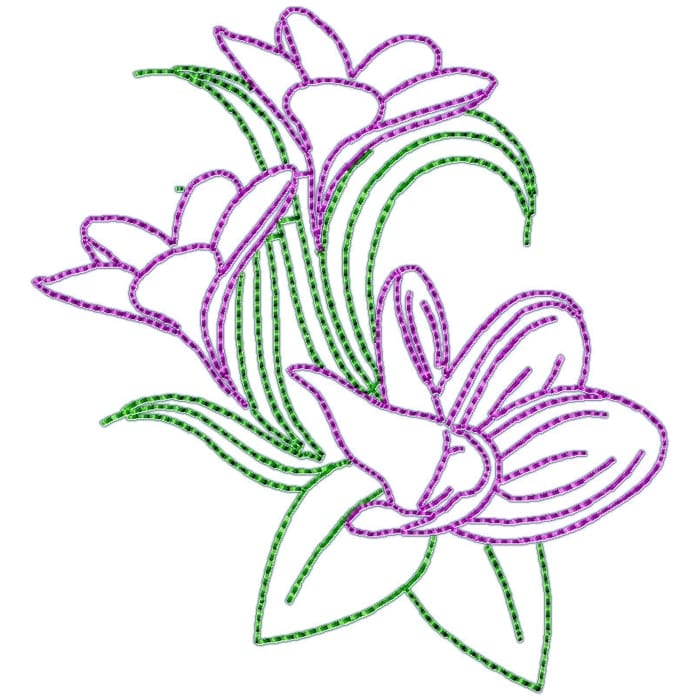 Frangipani Flowers