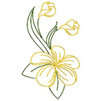 Frangipani Flowers