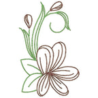 Frangipani Flowers