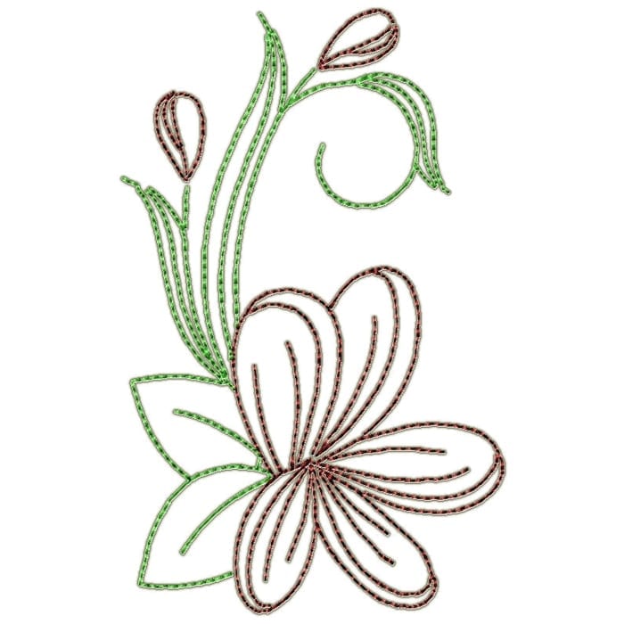 Frangipani Flowers