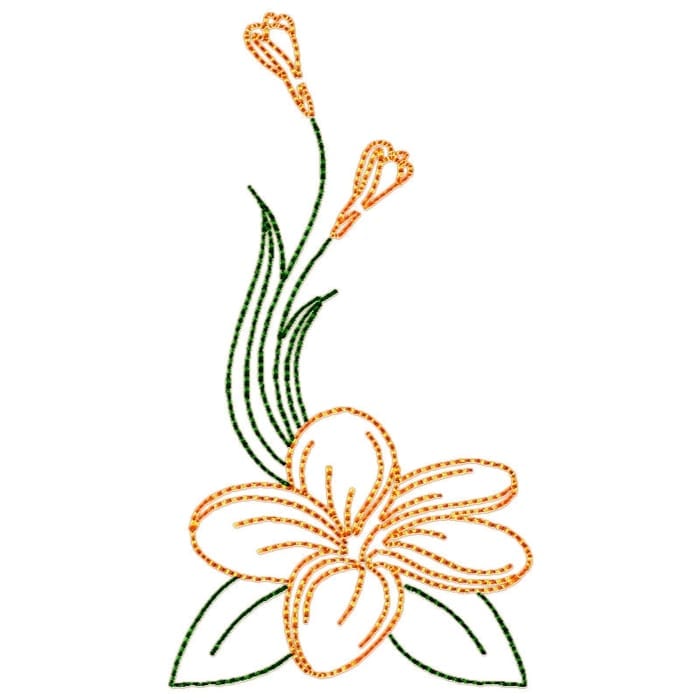 Frangipani Flowers