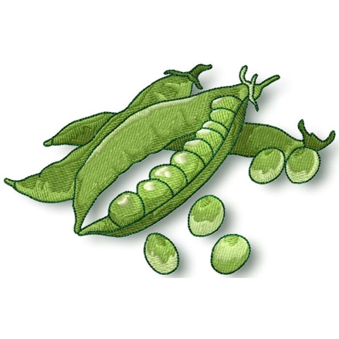Fruit and Vegetable
