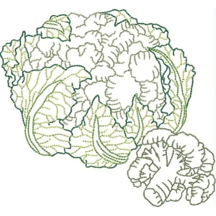 Fruit and Vegetable
