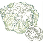 Fruit and Vegetable
