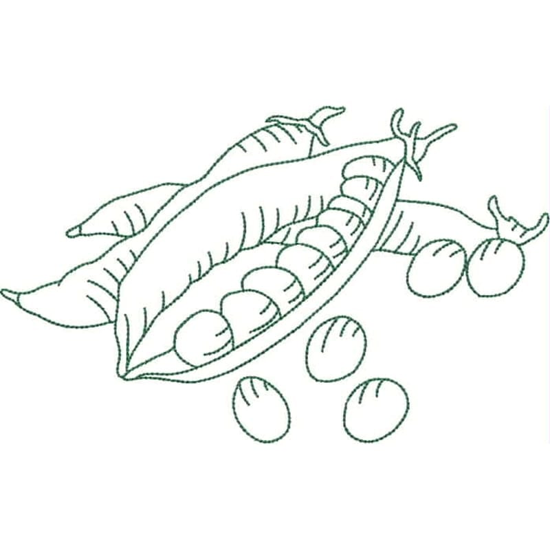 Fruit and Vegetable