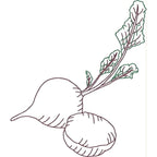 Fruit and Vegetable