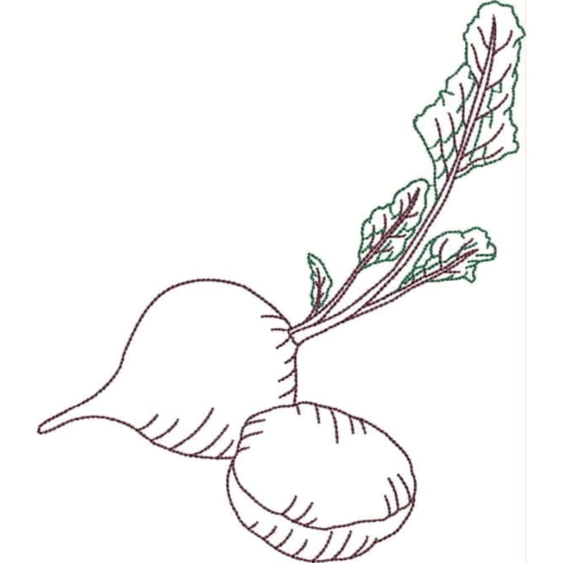 Fruit and Vegetable
