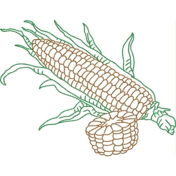Fruit and Vegetable