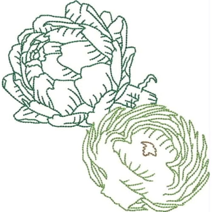 Fruit and Vegetable