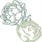 Fruit and Vegetable