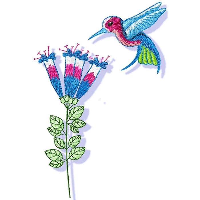 Pretty Hummingbirds
