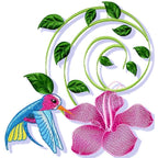 Pretty Hummingbirds
