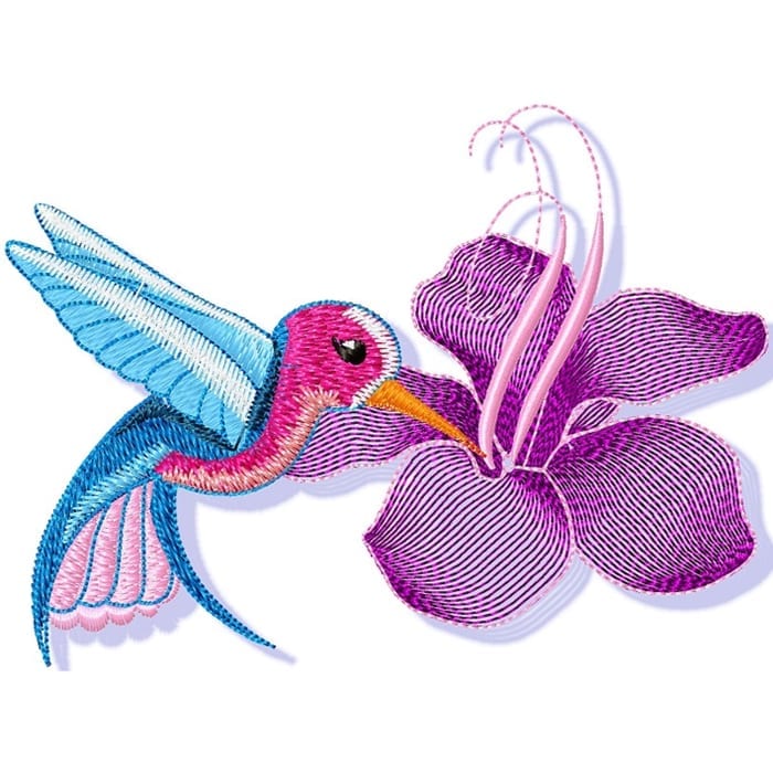 Pretty Hummingbirds