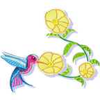 Pretty Hummingbirds