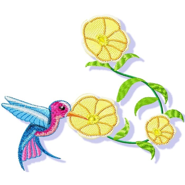 Pretty Hummingbirds