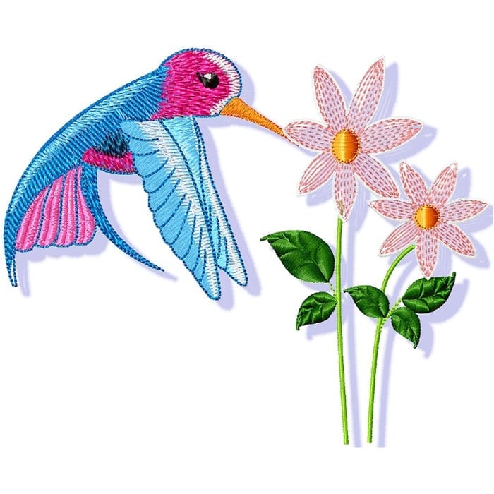 Pretty Hummingbirds