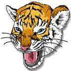 Impressive Tiger