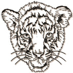 Impressive Tiger
