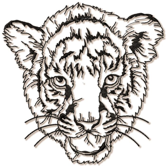 Impressive Tiger
