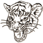 Impressive Tiger
