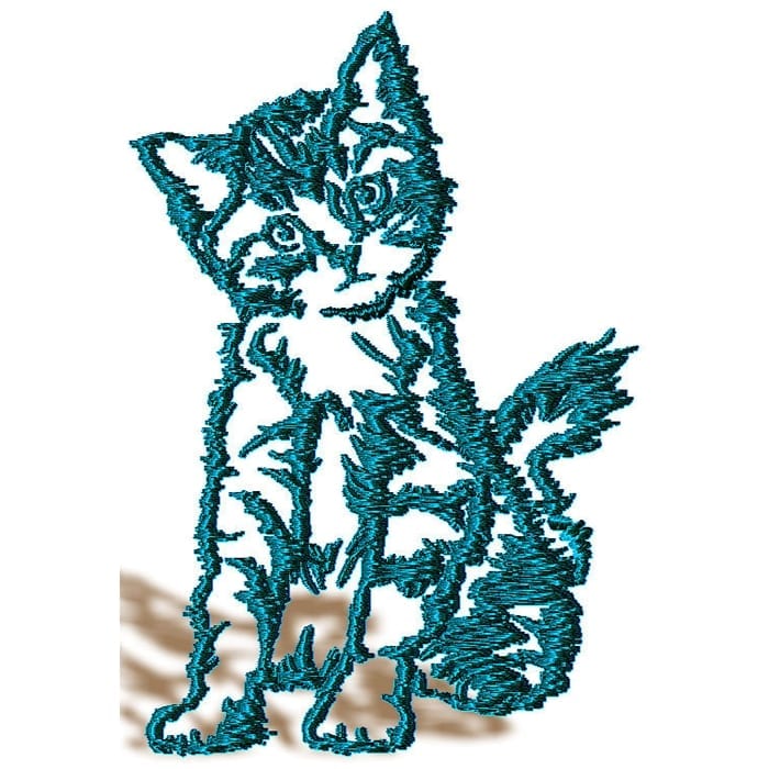 Kitten and Cats